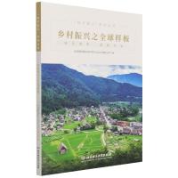 正版新书]乡镇振兴之样板华高莱斯国际地产顾问(北京)有限公司