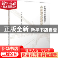 正版 乡村振兴战略背景下小城镇发展建设 刘悦 周琳 陈安华 王瑞