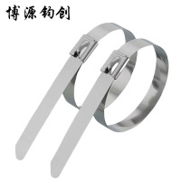 博源钧创 304不锈钢扎带 4.6*650MM 根