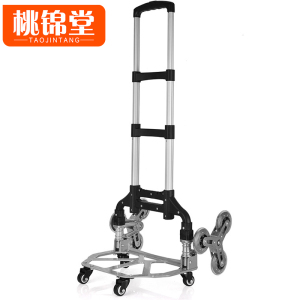 桃锦堂爬楼车