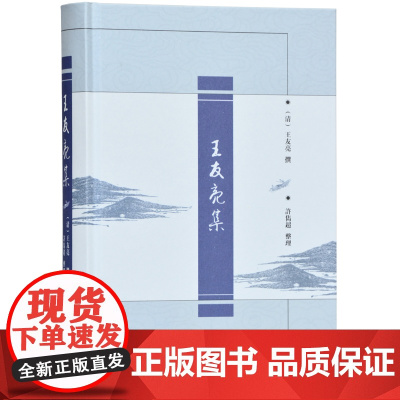 王友亮集 许隽超整理 精装 32开 清代文学研究 古代文学爱好 南京地方文化研究书籍 为研究乾嘉文学政事提供丰富的史料