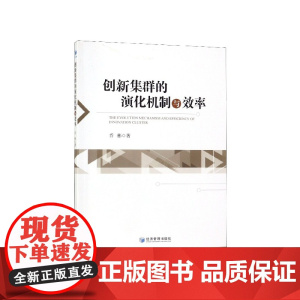 创新集群的演化机制与效率