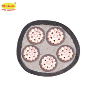 傻实在 电缆 国标全项保检 YJV 5*95mm² 米