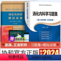 [正版]2024年消化内科高级医师进阶考试用书职称考试习题集模拟试卷全国高级卫生专业技术资格考试用书备考2024冲刺押