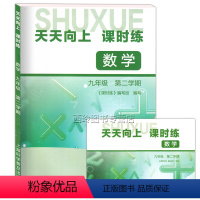 [正版]天天向上课时练 数学 九年级第二学期/9年级下册 含参考答案 初中数学教辅同步练习 上海科学普及出版社