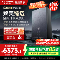 AO史密斯新品小体积16升零冷水燃气热水器[小精钢EJ5Wi]增压大水量恒温 静音 节能