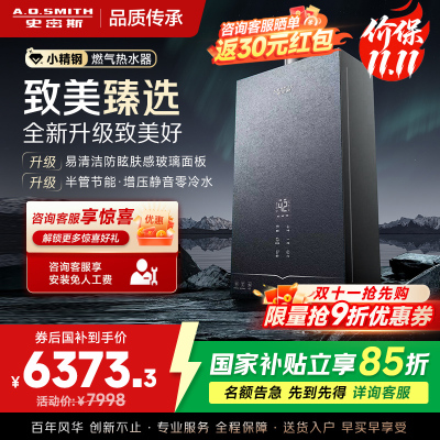 AO史密斯新品小体积16升零冷水燃气热水器[小精钢EJ5Wi]增压大水量恒温 静音 节能
