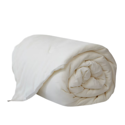 煊煜 蚕丝被(秋冬款)200*230cm 条