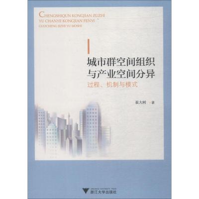 城市群空间组织与产业空间分异 过程、机制与模式