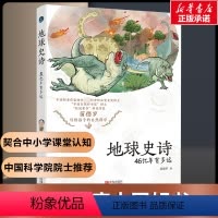 地球史诗 [正版]地球史诗:46亿年有多远 青岛出版社 苗德岁 著 科普百科