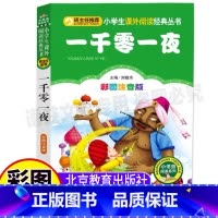 [正版]一千零一夜北京教育出版社注音版小学书籍儿童故事书刘敬余主编一年级二年级三年级上下册必读小书虫阅读系列儿童睡前故