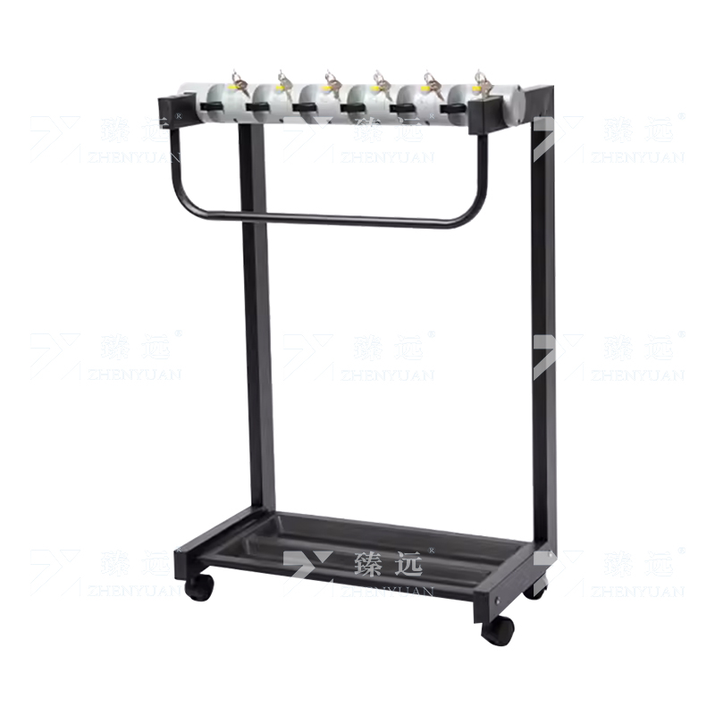 臻远 ZY4080111商用雨伞架带锁收纳置物架铁艺伞架子 6头加高