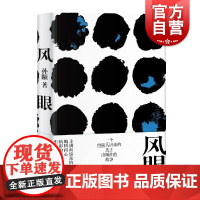风眼 孙颙 中国版编舟记 文学小说 出版界的故事 中国当代文学 上海文艺出版社
