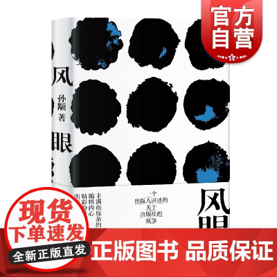 风眼 孙颙 中国版编舟记 文学小说 出版界的故事 中国当代文学 上海文艺出版社