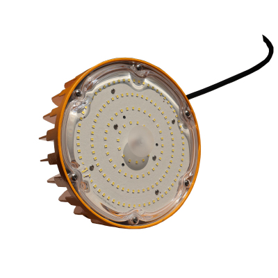 赛时工控(SHSSGK) SKSZD8-4304 AC220V 50W IP65 防水防尘灯 (单位:个) 黄