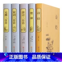 [正版]中华诗词大全5册 诗经 注译楚辞唐诗宋词元曲全集唐诗三百首宋词三百首元曲三百首中国古诗词鉴赏中华诗词大会备用书书