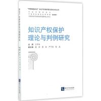知识产权保护理论与判例研究