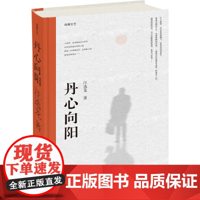丹心向阳 汪选龙 改革开放长篇小说 中国青年出版社正版