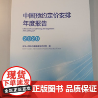 《中国预约定价安排年度报告(2020)》