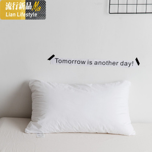 棉羽丝绒枕头无荧光剂机洗慢回弹酒店侧睡软纤维枕芯 三维工匠 白色枕套羽丝绒一个装 默认尺寸