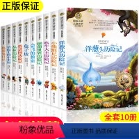 [正版]国际大奖儿童文学读物获奖小说全套10册小学生必读课外书籍阅读三年级四年级五六7-15岁的课外书老师洋葱头历险记兔