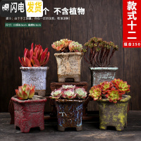 三维工匠多肉花盆陶瓷简约粗陶透气室内大口径肉肉植物创意小花盆 款式十二 中等花盆容器