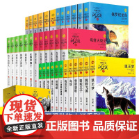 沈石溪动物小说品藏书系列全集41册狼王梦斑羚飞渡最后一头战象雪豹悲歌混血豺王第七条猎狗十大经典课外阅读书目全套书籍正版