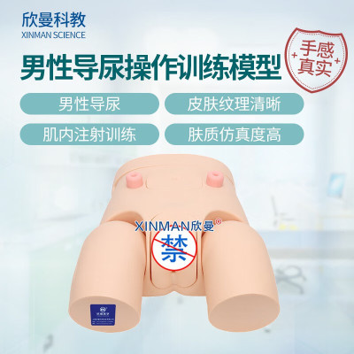 欣曼科教 高级男性导尿操作训练模型 导尿练习模拟人XM-H10