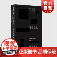 2023豆瓣年度书单]漆中之黑 杜可风著自传体随笔记王家卫御用名家摄影师电影艺术上海文艺代表作重庆森林花样年华2046无
