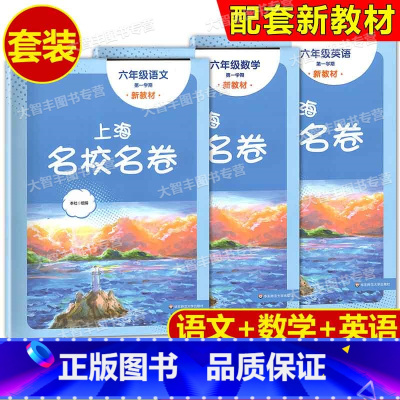 语文+数学+英语 六年级上 [正版]2023年新版上海名校名卷 语文数学英语 六年级第一学期/6年级上 3本套 上海版小