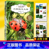 真假瓢虫大战 [正版]真假瓢虫大战 全彩升级版 动物小说大王沈石溪精读酷玩系列 狼王梦作者儿童书籍8-12周岁小学生语文