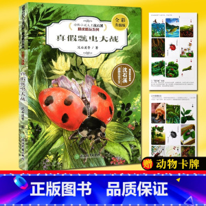 真假瓢虫大战 [正版]真假瓢虫大战 全彩升级版 动物小说大王沈石溪精读酷玩系列 狼王梦作者儿童书籍8-12周岁小学生语文