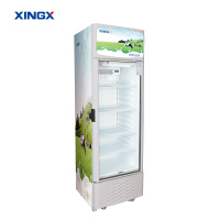 星星(XINGX)LSC-248FDM-TY乳品柜 展示柜 饮料柜 冷藏柜 商用立式冷柜 玻璃门 超市大容量冰箱