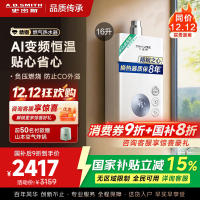 AO史密斯佳尼特16升燃气热水器佳尼特 不锈钢换热器8年包换 恒温大水量 抗风防冻 JSQ31-TC1