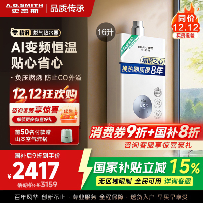 AO史密斯佳尼特16升燃气热水器佳尼特 不锈钢换热器8年包换 恒温大水量 抗风防冻 JSQ31-TC1