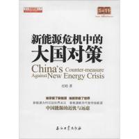 正版新书]新能源危机中的大国对策任皓9787518300754