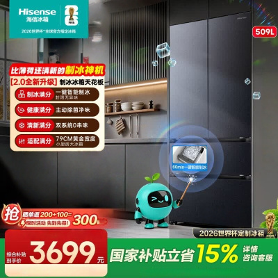 海信大薄荷2.0 509L法式多门冰箱双系统自动制冰超薄超窄零嵌入大容量净味BCD-509E5SFZSD灰