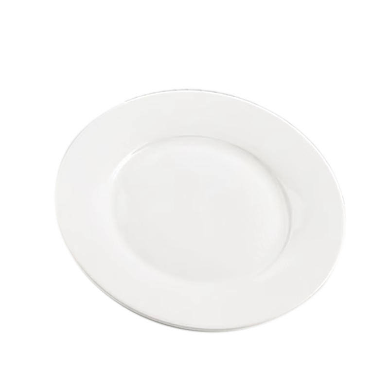 海铁科技骨碟11英寸/个