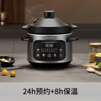九阳电炖锅电砂锅紫砂DG40K-GD407大容量多功能智能预约保温4L
