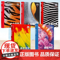 正版 动物志12345 致命危险 从地球消失 狂野非洲 人类的朋友 极致绚烂 领略多彩世界探究绚烂之谜 读库 纸上动