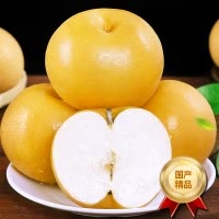 [西沛生鲜]精品圆黄梨 新鲜水果 松脆多汁 净重3斤装 单果250g以上