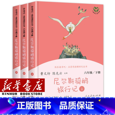 [单本]六年级下/尼尔斯骑鹅旅行记(上中下3册) [正版]人教版快乐读书吧一年级二年级四年级五六三年级下册读读童谣和儿歌