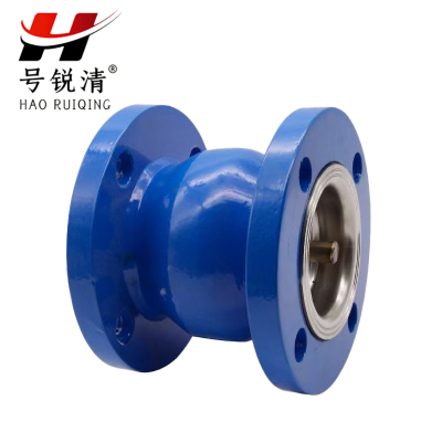 号锐清止逆阀 DN65 个