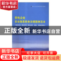 正版 供电企业安全隐患排查治理图例范本:输电部分 变电部分 配