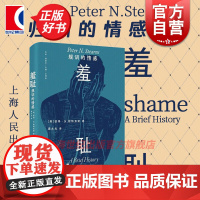 羞耻规训的情感 光启情感史美国彼得N斯特恩斯光启书局耻感文化羞耻治理术羞辱文化史荣誉心理学社会史生命政治世界史情感史