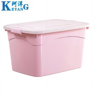 珂洋 整理箱 大号 个