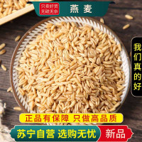 甄选燕麦100克干货正品新货糙米黑红燕麦荞麦黄金粗五谷杂粮饭健身饭