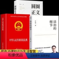 [全3册]民法典+法治的细节+圆圈正义 [正版]法治的细节圆圈正义法律的悖论罗翔老师普法书籍刑法讲学讲义法律案件历史刑法