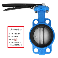 太忻 对夹蝶阀 DN100 个