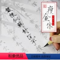 硬笔摹帖套装 [正版]瘦金体字帖套装成人练字帖男女漂亮字体大学生硬笔书法字帖宋徽宗瘦金体字帖楷书临摹练习初学者毛笔字帖书